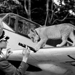 Franz von Werra, Public domain