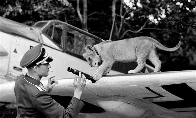 Franz von Werra, Public domain