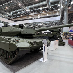 Leopard, Volné dílo