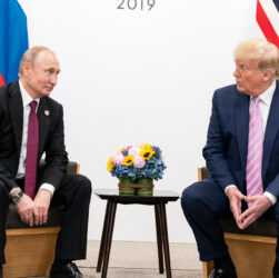 Putin a Trump, Public Domain