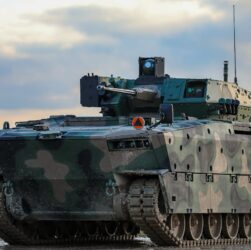 Borsuk, Matthew Foster, Volné dílo