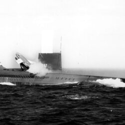 Ponorka USS Halibut, Volné dílo