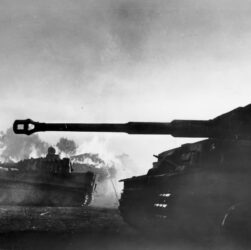 Tiger, Bundesarchiv, Bild 183-J14813 / Henisch / CC-BY-SA 3.0, CC BY-SA 3.0 de